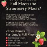 June Full Moon Meaning - Name